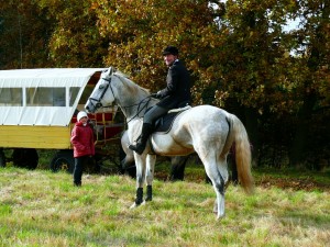Fuchsjagt mittags 2009 1