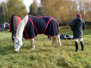 Fuchsjagt mittags 2009 101  