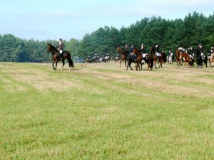 Fuchsjagt mittags 2009 15