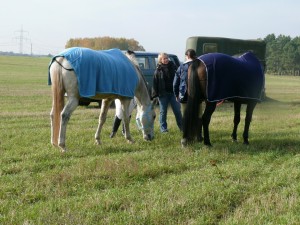 Fuchsjagt mittags 2009 19