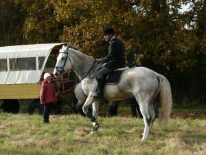 Fuchsjagt mittags 2009 2