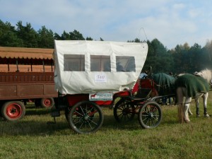 Fuchsjagt mittags 2009 24