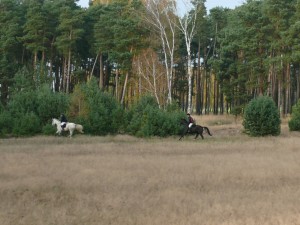 Fuchsjagt mittags 2009 28