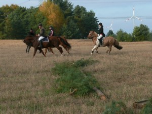 Fuchsjagt mittags 2009 31
