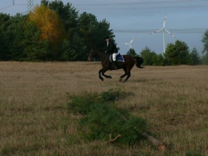 Fuchsjagt mittags 2009 32