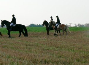 Fuchsjagt mittags 2009 36