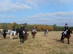 Fuchsjagt mittags 2009 37