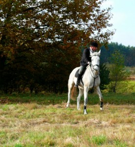 Fuchsjagt mittags 2009 4