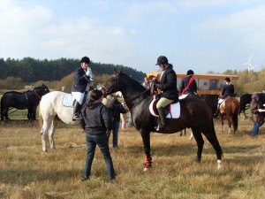 Fuchsjagt mittags 2009 41
