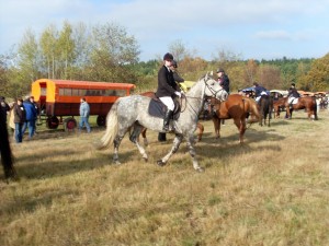 Fuchsjagt mittags 2009 42