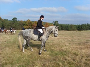 Fuchsjagt mittags 2009 43