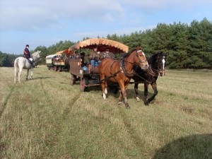 Fuchsjagt mittags 2009 49