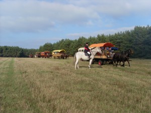 Fuchsjagt mittags 2009 50
