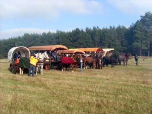 Fuchsjagt mittags 2009 53