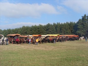 Fuchsjagt mittags 2009 54