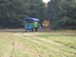 Fuchsjagt mittags 2009 56