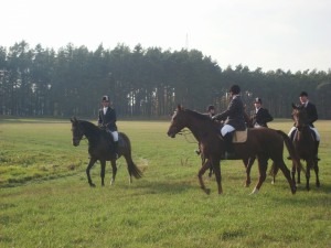 Fuchsjagt mittags 2009 57