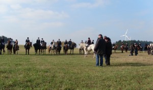 Fuchsjagt mittags 2009 63