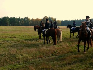 Fuchsjagt mittags 2009 7