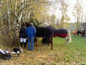 Fuchsjagt mittags 2009 79