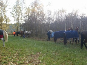 Fuchsjagt mittags 2009 80