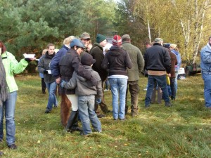 Fuchsjagt mittags 2009 82