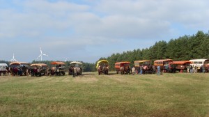 Fuchsjagt mittags 2009 83