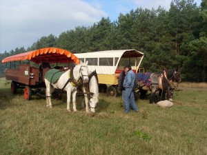 Fuchsjagt mittags 2009 89