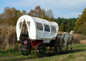 Fuchsjagt mittags 2009 9