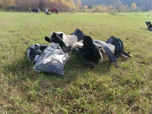 Fuchsjagt mittags 2009 90