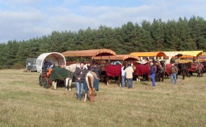 Fuchsjagt mittags 2009 97 