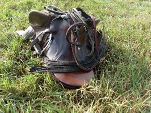 Fuchsjagt mittags 2009 99  