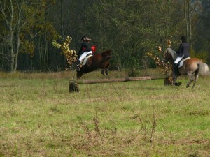 Fuchsjagt vormittags 2009 106