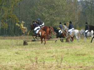 Fuchsjagt vormittags 2009 107