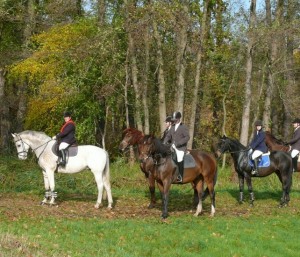 Fuchsjagt vormittags 2009 112