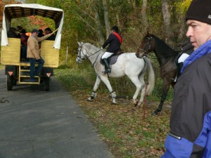Fuchsjagt vormittags 2009 113