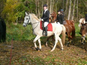 Fuchsjagt vormittags 2009 114