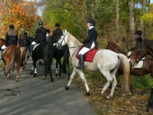 Fuchsjagt vormittags 2009 115