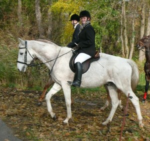 Fuchsjagt vormittags 2009 117