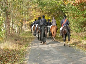 Fuchsjagt vormittags 2009 119