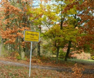 Fuchsjagt vormittags 2009 121