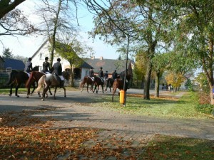 Fuchsjagt vormittags 2009 126