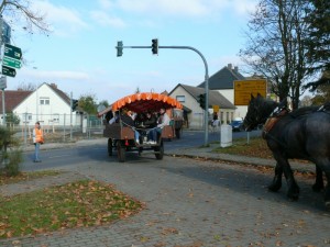 Fuchsjagt vormittags 2009 127