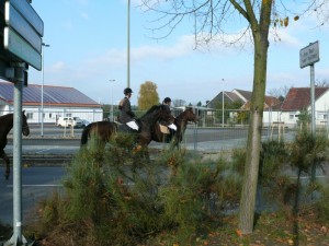 Fuchsjagt vormittags 2009 128