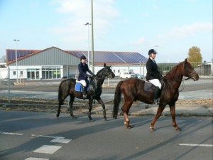 Fuchsjagt vormittags 2009 129