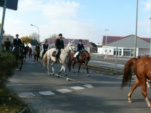 Fuchsjagt vormittags 2009 131