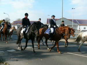 Fuchsjagt vormittags 2009 133