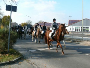 Fuchsjagt vormittags 2009 134