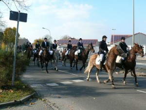 Fuchsjagt vormittags 2009 135