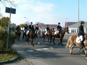Fuchsjagt vormittags 2009 136